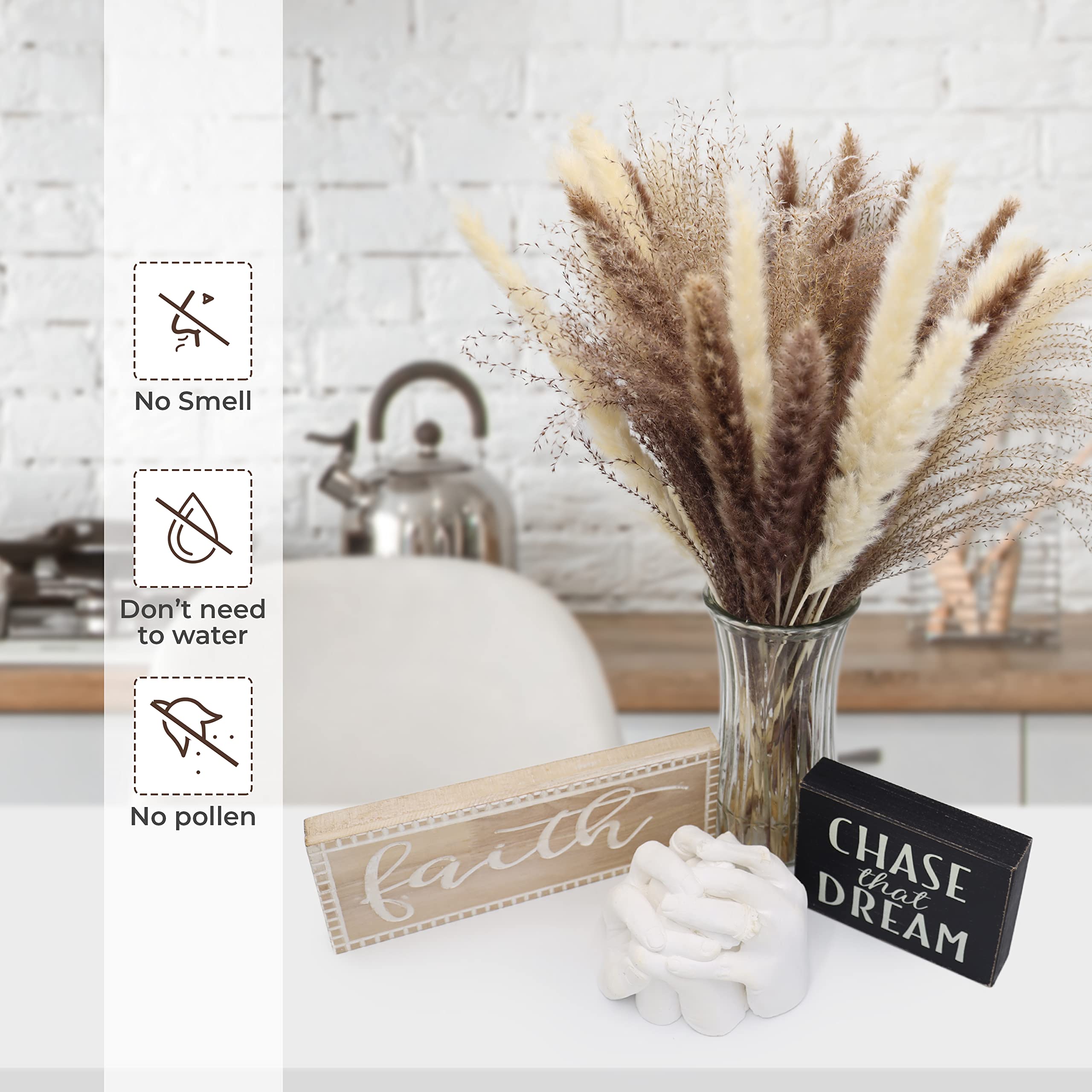 Amazon｜Jhoward パンパスグラス60個 | ホワイトパンパ15個 ブラウン